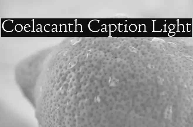 Coelacanth Caption Light Font examples
