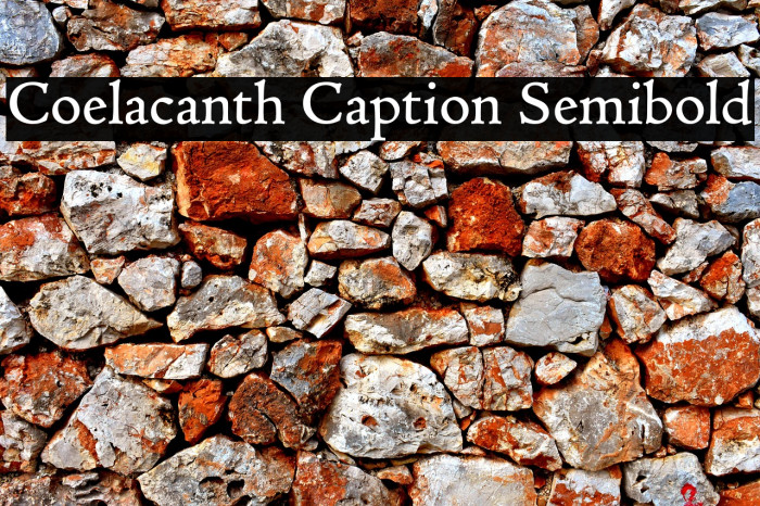 Coelacanth Caption Semibold Example 2