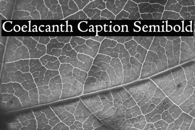 Coelacanth Caption Semibold Font examples
