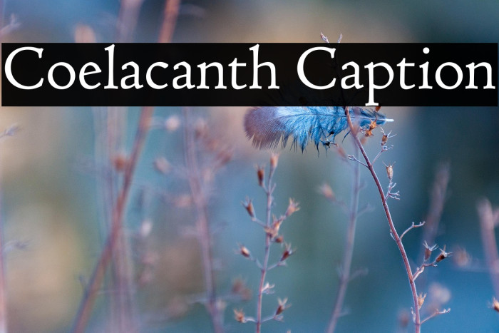 Coelacanth Caption Example 1