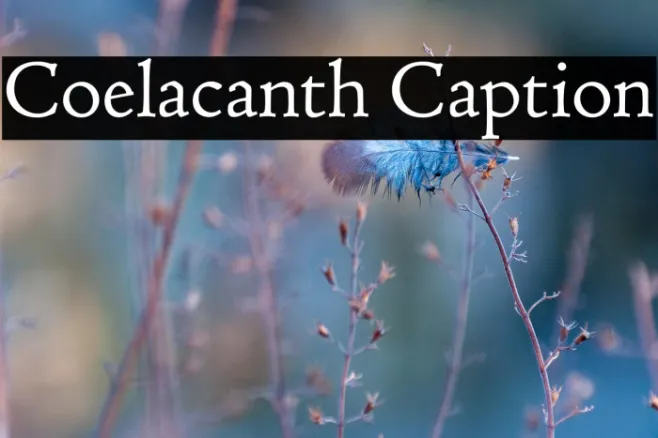 Coelacanth Caption Example 1