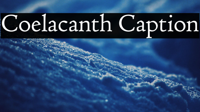 Coelacanth Caption Example 2