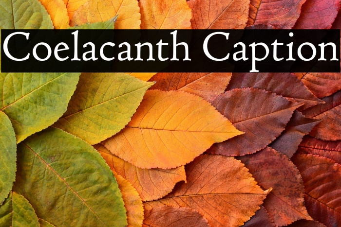 Coelacanth Caption Example 3