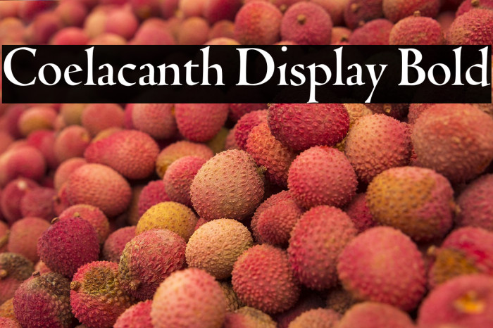 Coelacanth Display Bold Example 2