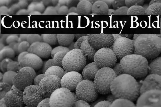 Coelacanth Display Bold خط examples