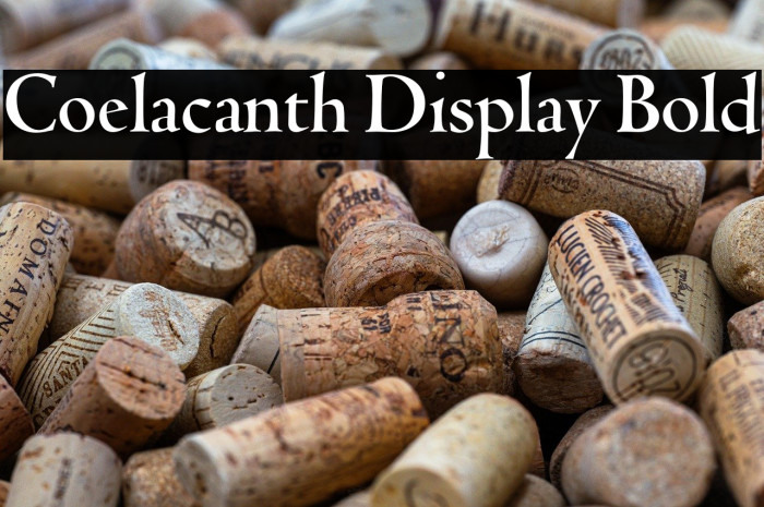 Coelacanth Display Bold Example 3