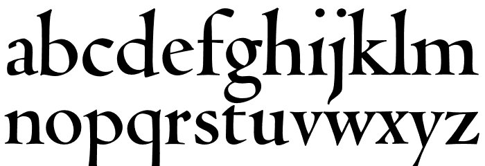 Coelacanth Display Bold Font LOWERCASE