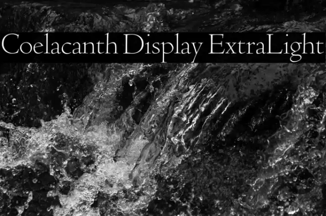 Coelacanth Display ExtraLight خط examples