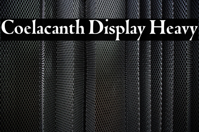 Coelacanth Display Heavy Example 1