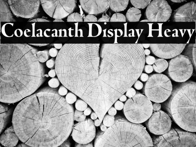 Coelacanth Display Heavy Font examples