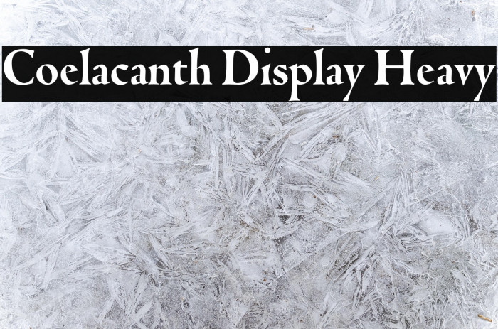 Coelacanth Display Heavy Example 3