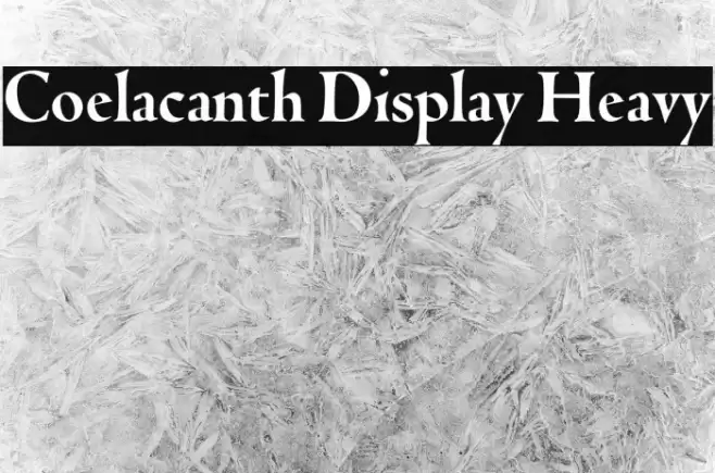 Coelacanth Display Heavy Font examples
