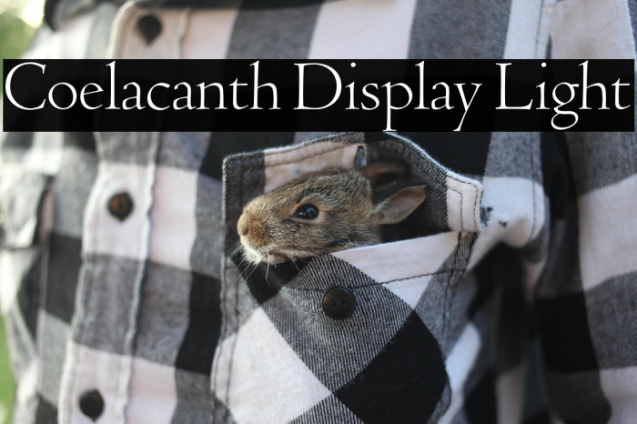 Coelacanth Display Light Example 1