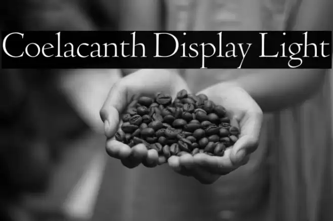 Coelacanth Display Light Font examples
