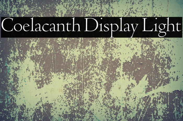 Coelacanth Display Light Example 3