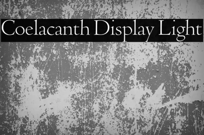 Coelacanth Display Light Font examples