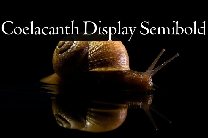 Coelacanth Display Semibold Example 1