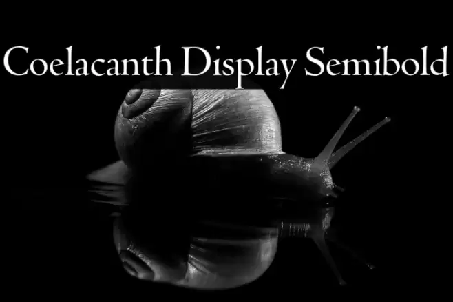 Coelacanth Display Semibold Fonte examples