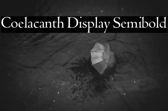 Coelacanth Display Semibold Fonte examples