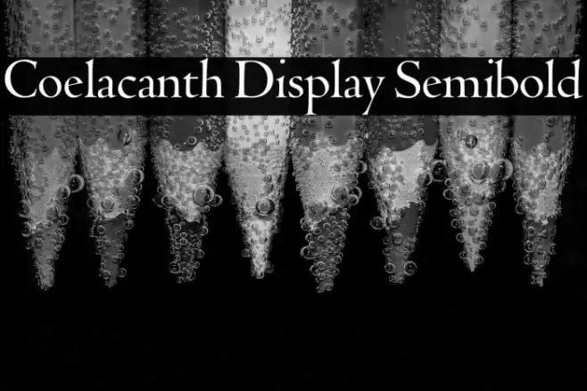 Coelacanth Display Semibold Fonte examples
