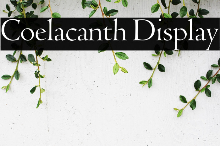 Coelacanth Display Example 1