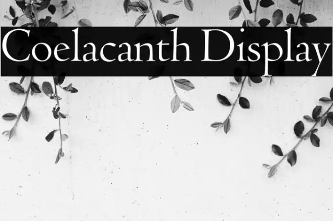 Coelacanth Display خط examples