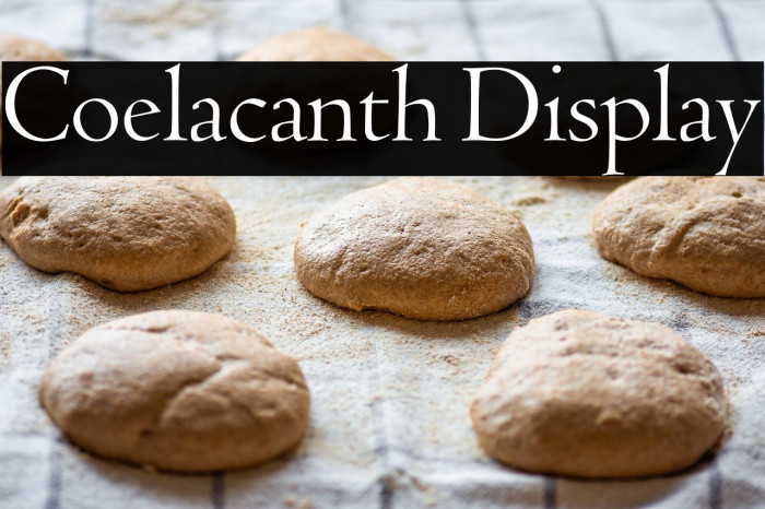 Coelacanth Display Example 2