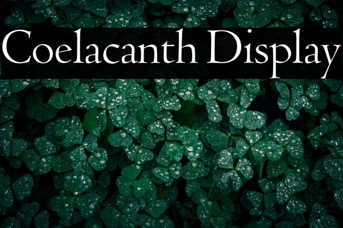 Coelacanth Display Example 3