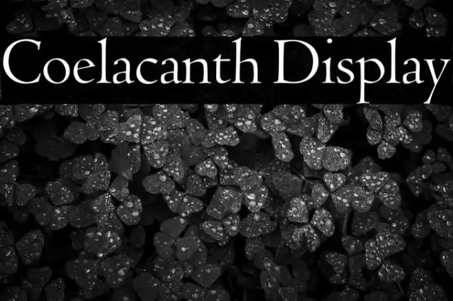 Coelacanth Display خط examples