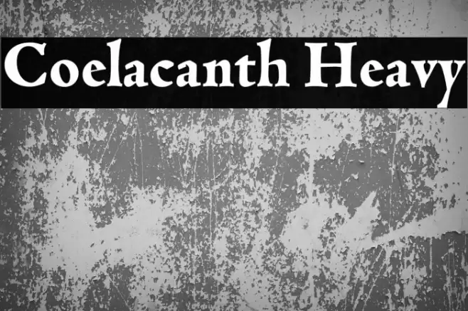 Coelacanth Heavy خط examples