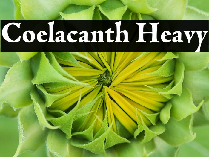 Coelacanth Heavy Example 3