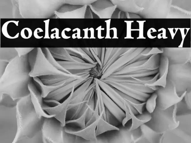 Coelacanth Heavy خط examples