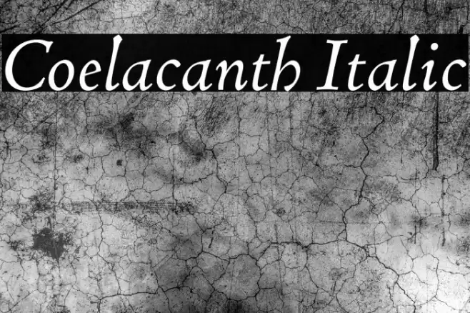 Coelacanth Italic Font examples