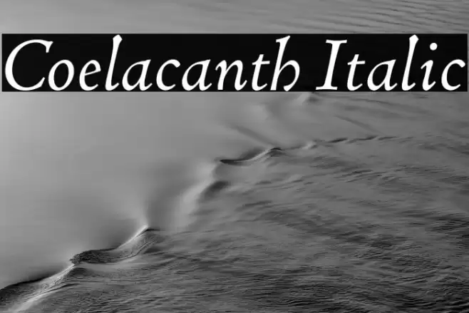 Coelacanth Italic Font examples