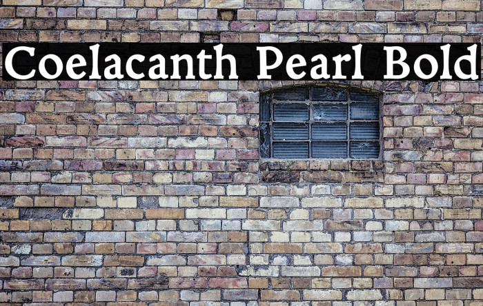 Coelacanth Pearl Bold Example 2