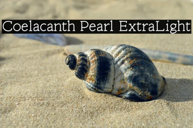 Coelacanth Pearl ExtraLight Example 2