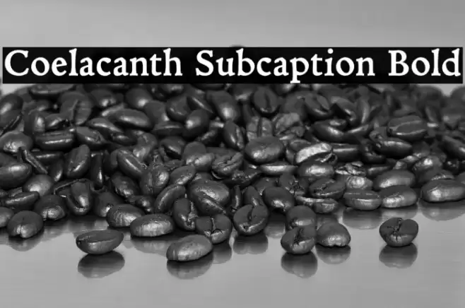 Coelacanth Subcaption Bold Fonte examples