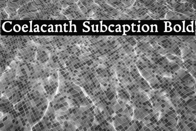 Coelacanth Subcaption Bold Fonte examples