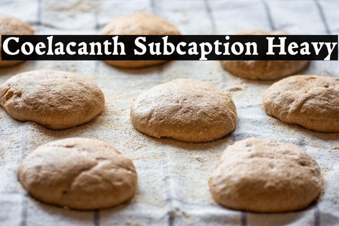 Coelacanth Subcaption Heavy Example 3