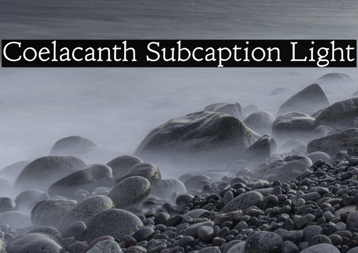 Coelacanth Subcaption Light Example 3