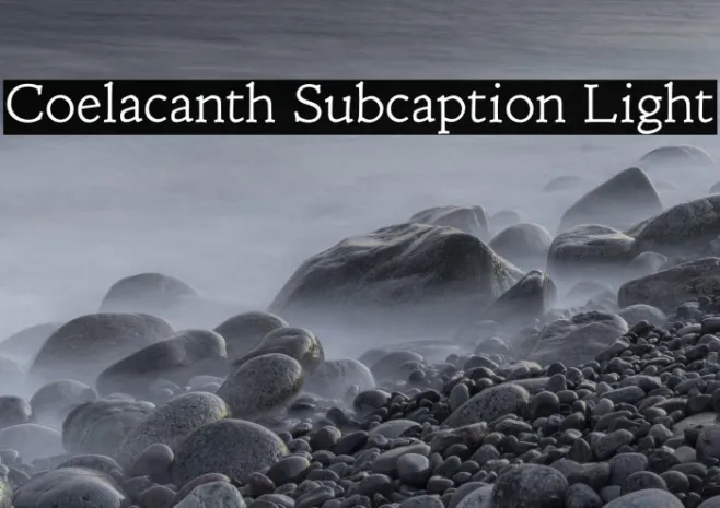 Coelacanth Subcaption Light Example 3