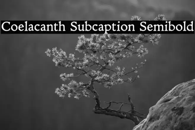 Coelacanth Subcaption Semibold Font examples