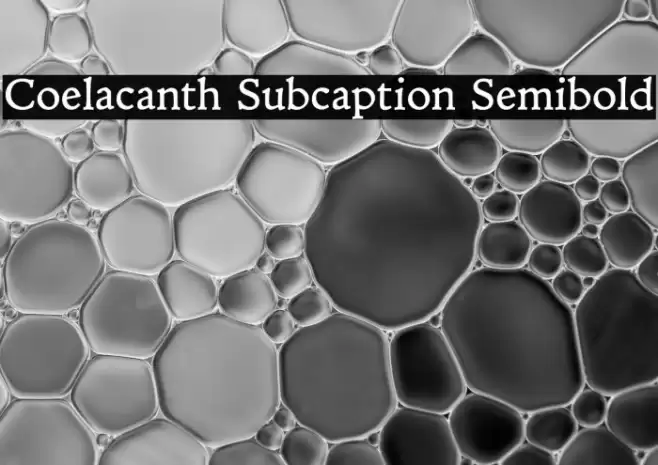 Coelacanth Subcaption Semibold Font examples