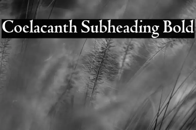 Coelacanth Subheading Bold Font examples