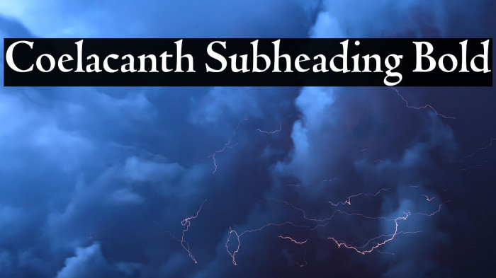 Coelacanth Subheading Bold Example 3
