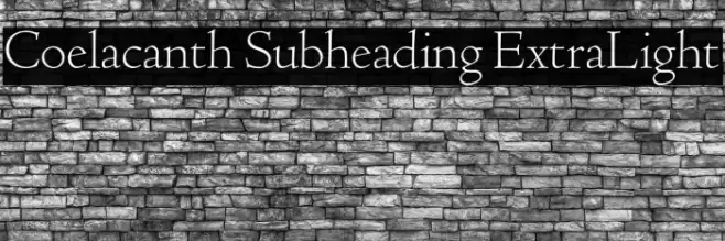 Coelacanth Subheading ExtraLight Fonte examples