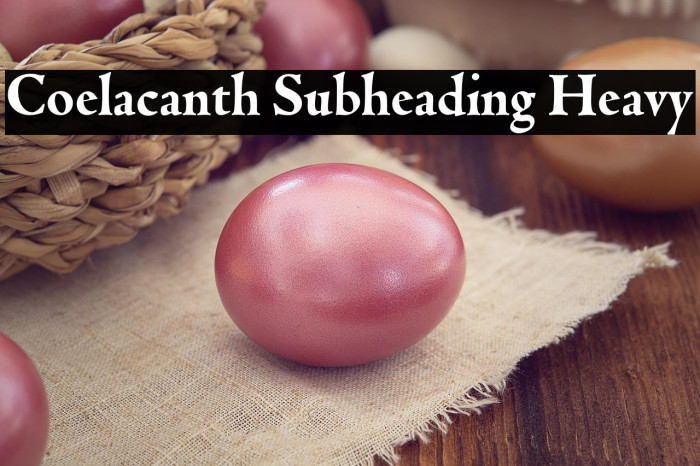 Coelacanth Subheading Heavy Example 1