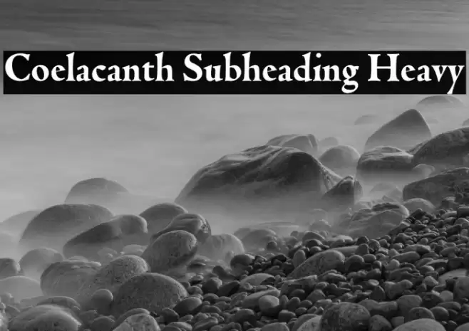 Coelacanth Subheading Heavy Font examples