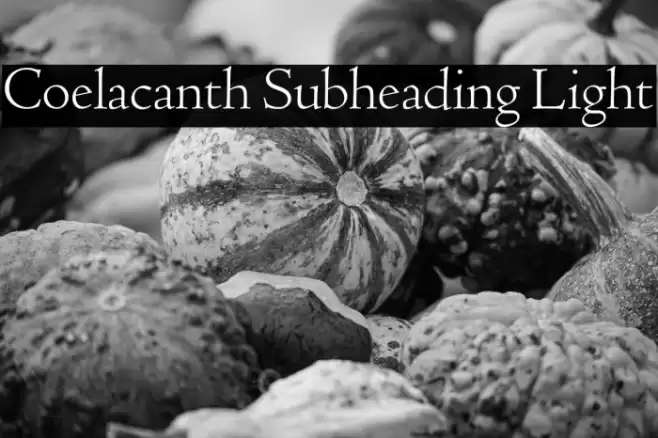 Coelacanth Subheading Light خط examples