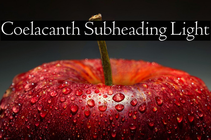 Coelacanth Subheading Light Example 3